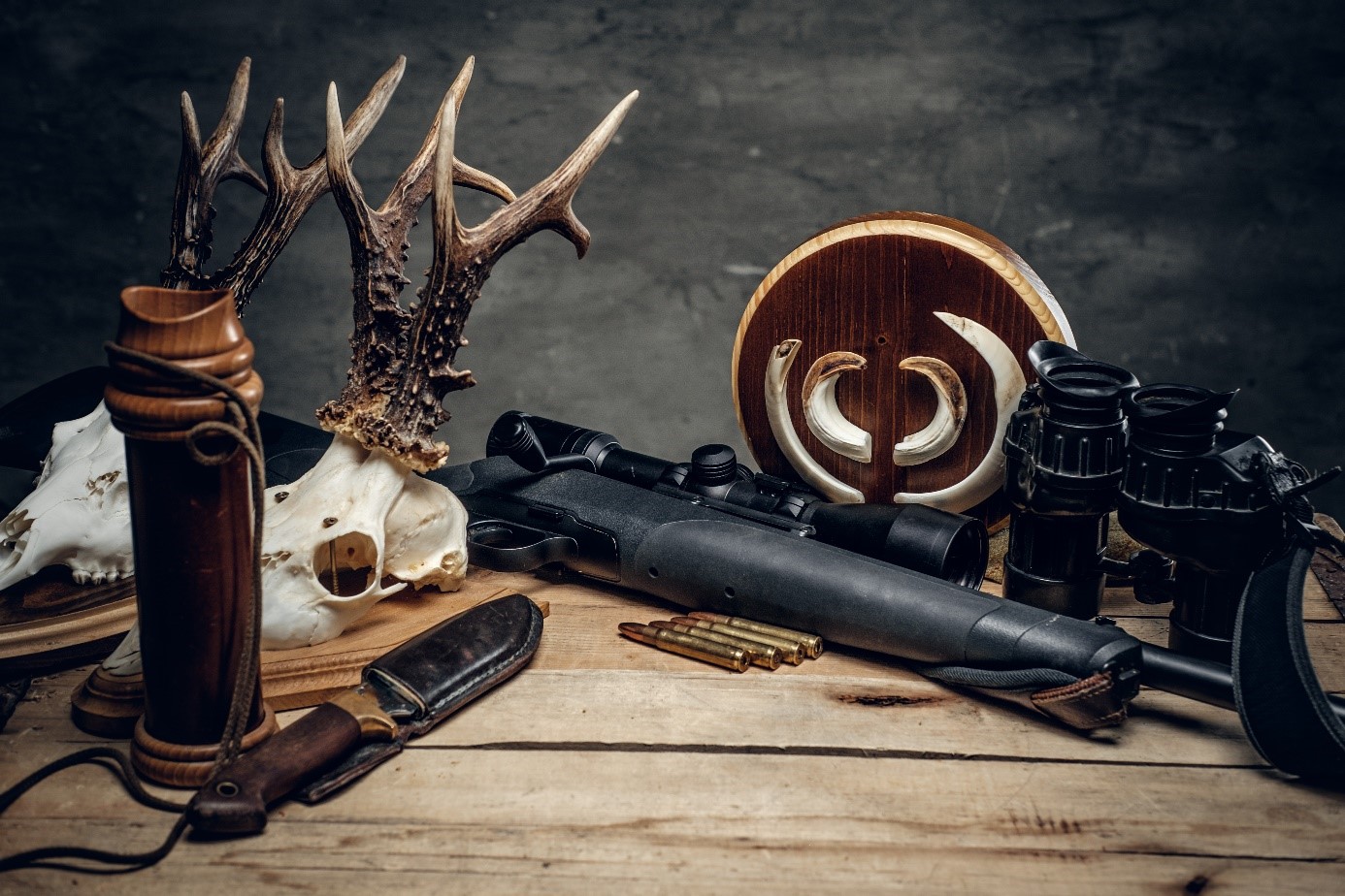 Skriňa na zbrane pre poľovníkov aj športových strelcov 
